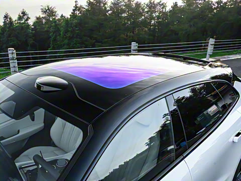 2026��   95������ Max��