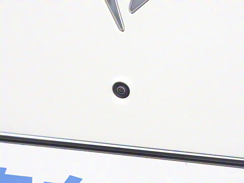 2026�� �������̼�����