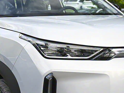 2026�� 650 ���װ�