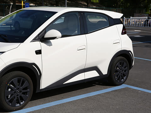2026�� 305km ���ɰ�