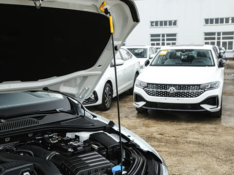 2026�� 300TSI DSG�ǿ����ݰ�