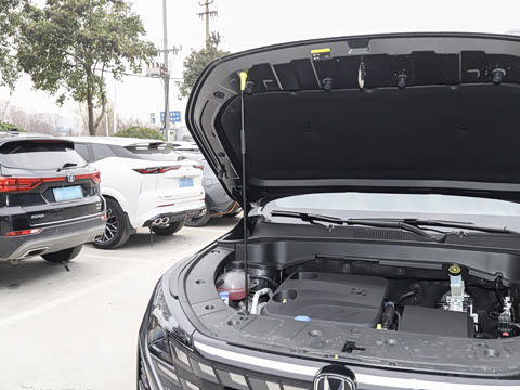 2026�� �ǻ������� 130km ս����