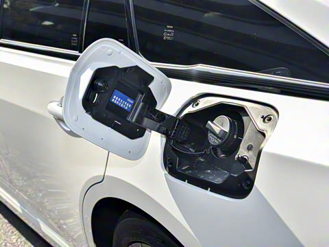 2024�� 2.5L �����