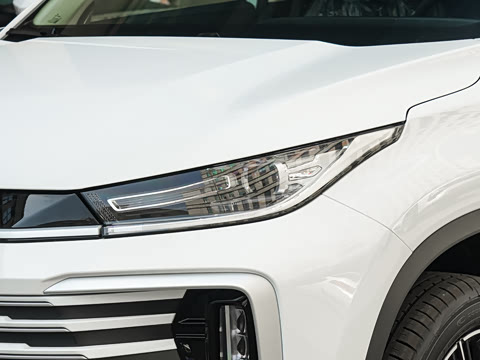 2025�� 300T ������ҹ��