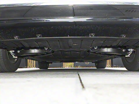 2025�� ���� Max ������