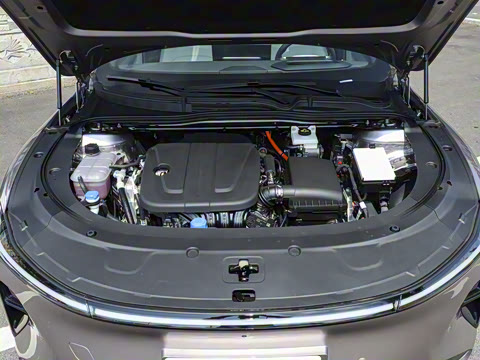 2026�� �����������̰� 310�콢��