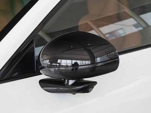 2025�� ������������Pro��