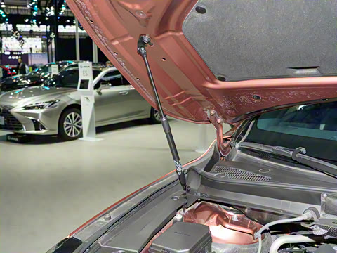 2026�� 500h ����F SPORT Performance