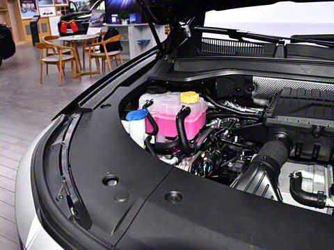 2026�� ���� 210������������