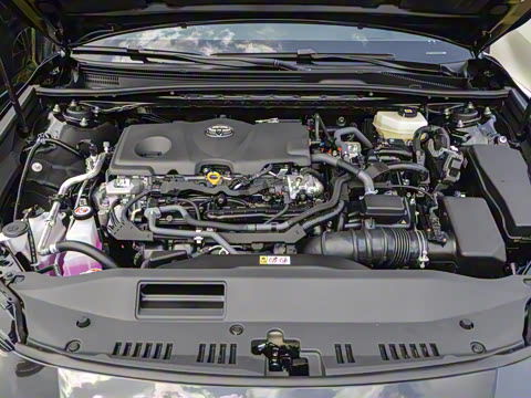 2026�� ˫�� 2.5HG ����