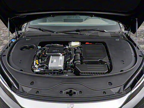 2025�� DM-i �Ǽݰ� 245KM������