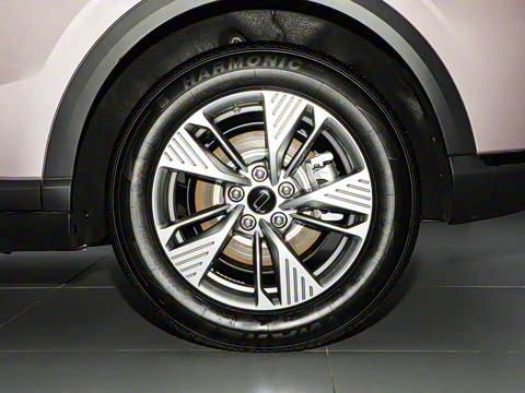 2025�� 565km ������