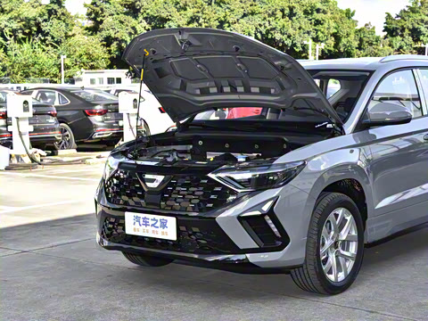 2026�� 280TSI �Զ��ȷ��