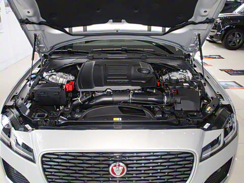 2025�� 2.0T P250 ��������������