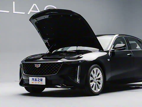 2026�� 28T �콢��