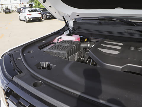 2025�� ��Ұ�� 5��