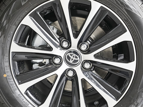 2026�� ����L 185T ������
