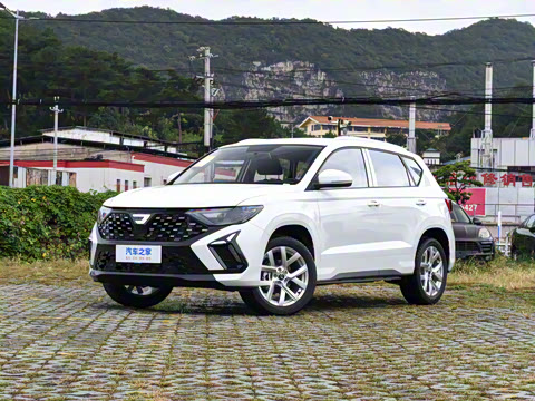 2026�� 280TSI �ֶ��ȷ��