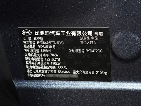 2026�� DM-i 133KM��Խ��