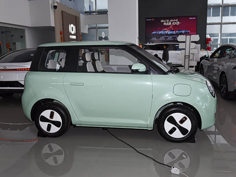 2026�� ���ذ� 205km �İ��� ����