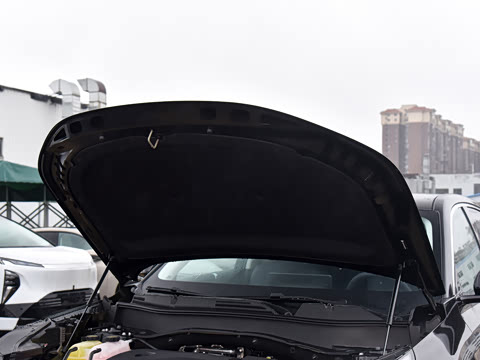 2026�� 1600 ������� 