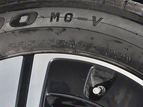 2025�� ������