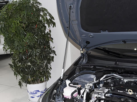 2026�� ����L ���Ͱ� 2.0L ������