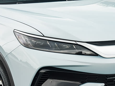 2026�� �ɳ۰� DM-i 220KM��Խ��
