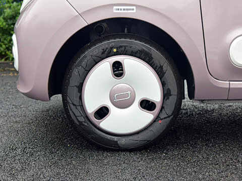 2026�� 222km ��ҫ��