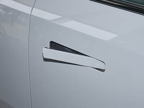 2025�� 520���������