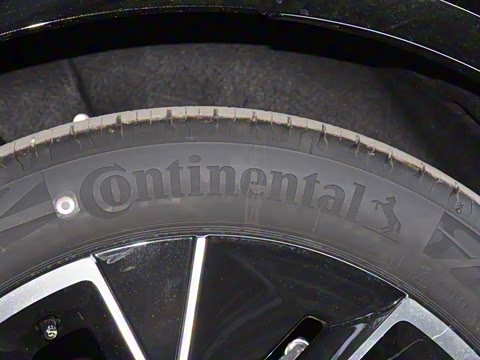 2025�� Max �����