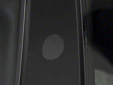 2025�� �Ŀ� ����������