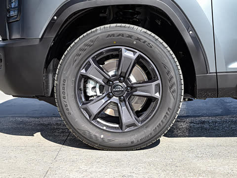 2025�� 2.0T 4WD Pro