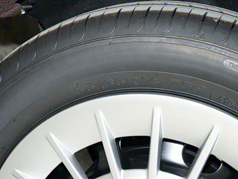 2025�� ������