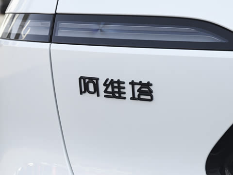 2025�� Elite�����