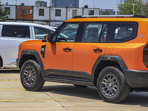 2025�� ̽Ұ�� 5��