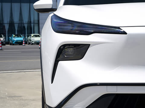 2026�� 565km ��ϲ��