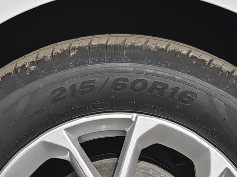 2026�� 125kmԶ����