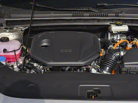 2026�� 125kmԶ����