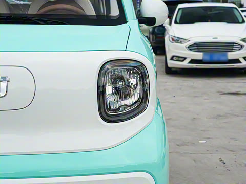 2026�� 222km �Ų���