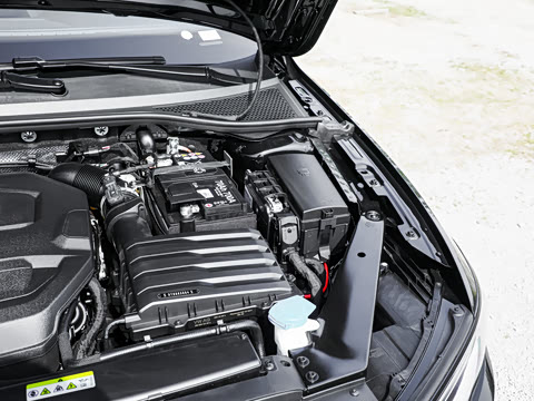 2026�� 3000������ѡ�� 330TSI DSG��Ӣ��