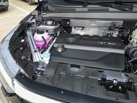 2026�� �ھ��� 290T ���������� 5��