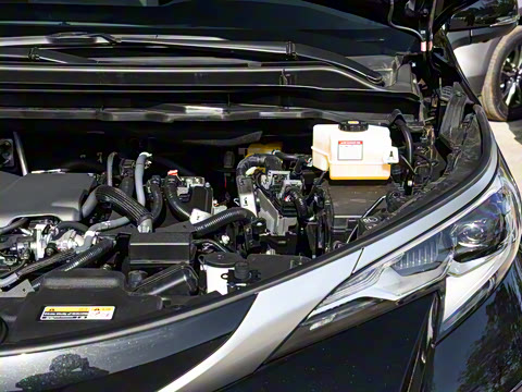 2026�� 2.5L ˫�����������