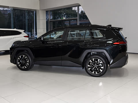 2026�� 2.0L ���ܵ��˫�� PRO