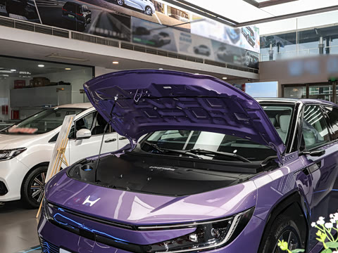 2025�� ����������Pro