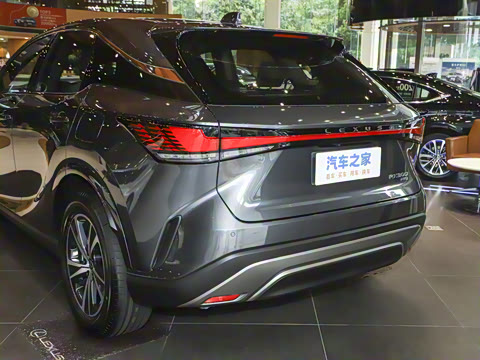 2025�� 300 ����������