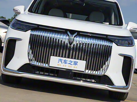 2025�� EV �������������