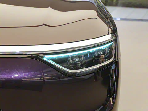 2025�� ���� Max+ ������������ 