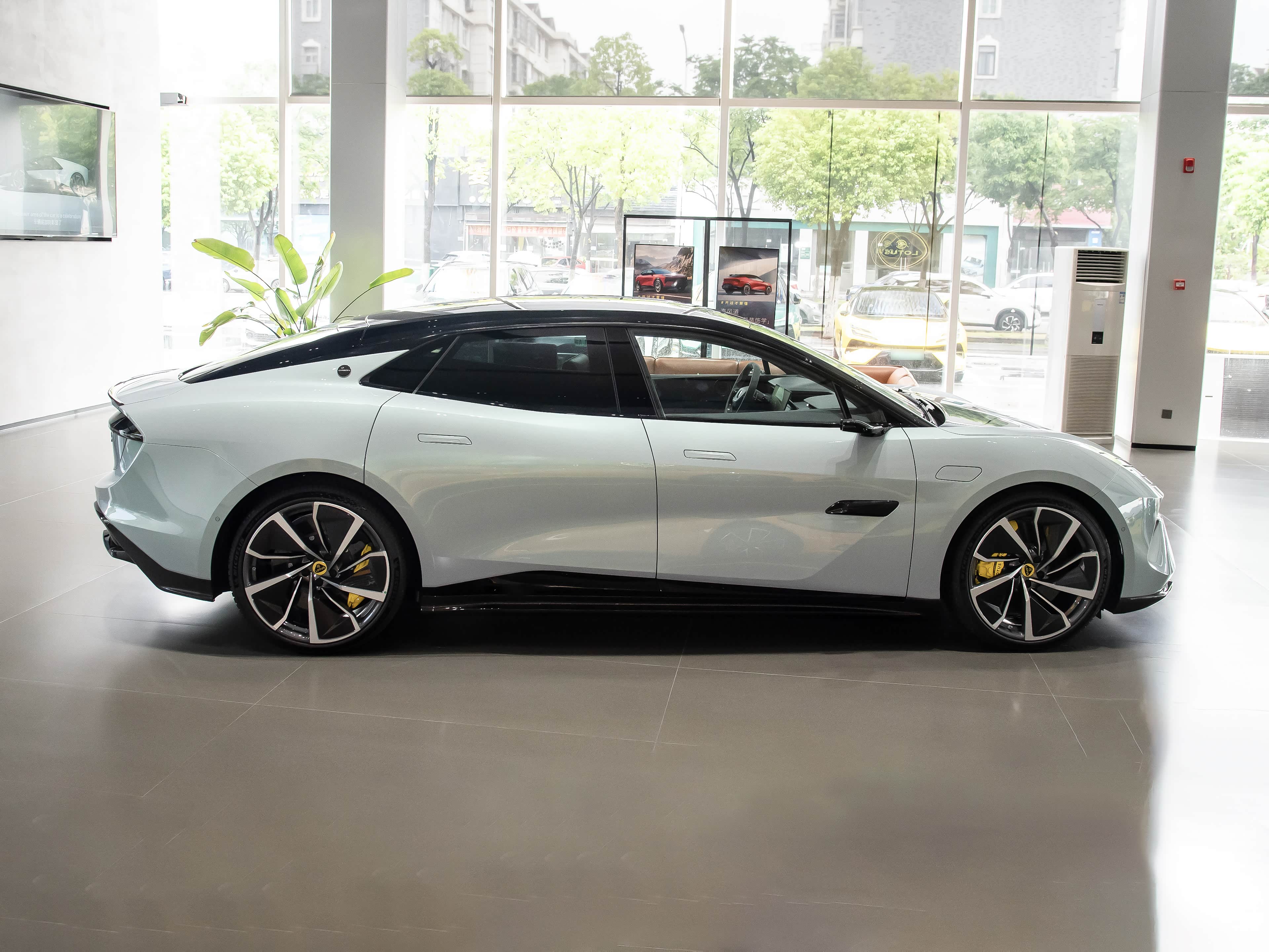 Lotus Emeya, миниатюра 8