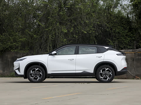 2026�� 530Խ����